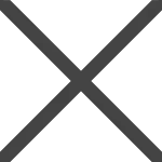 Close Big SVG Icon